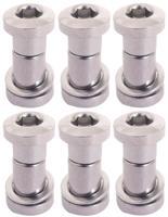 Bofix Zadelpenbout inbus 19 mm - chroom (6 stuks)
