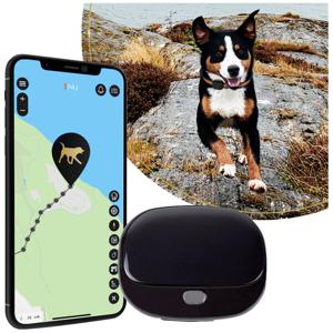 PAJ GPS PET Finder 4G 2.0 Black GSM-tracker 1 stuk(s)