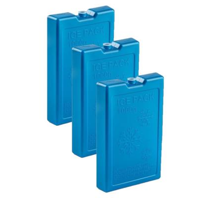 Plasticforte 1000 grams koelelementen - 6x stuks - 22 x 14 x 3 cm - blauw - kunststof