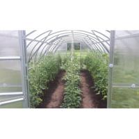 Polycarbonaat Tuinkas Baltic LT 3 x 12 Meter