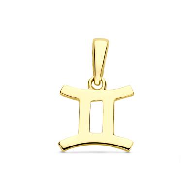 14k Geelgouden Hanger Sterrenbeeld Tweeling - Per Stuk