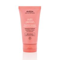 Aveda Nutri Plenish Leave-In Nutriplenish Hair Masque Light Moisture 150ml | Voor Droog Haar