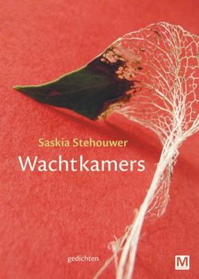 Wachtkamers (Paperback)