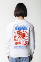 Colourful Rebel Sweater WS417082