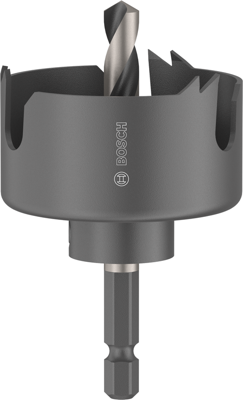 Bosch Accessoires Gatzaagset met as voor hout en gipsplaat | 48 x 27 mm - 2608594493