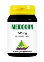 Meidoorn 565mg