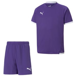 PUMA teamLIGA Trainingsset Kids Paars Wit