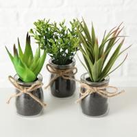 Boltze Home Sukkulente in pot ø10x17cm kunstplant
