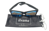 iiyama zonnebril grijs