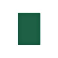 Magneetvel maul 200x300mm groen