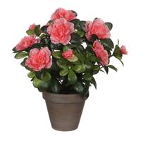 Decoratieve plant Mica Decorations 11,5 x 27 x 20 cm