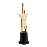 Star award prijs met gouden ster 22 cm   -