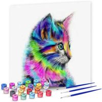 Rubye® Schilderen Op Nummer Volwassenen – Kleurrijke Kat – Met Canvas Schildersdoek en Penselen - 40x50cm - thumbnail