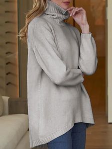 Simple & Basic Turtleneck Solid Sweater