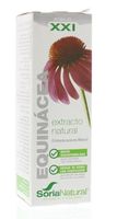 Echinacea purpurea XXI