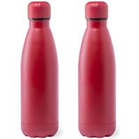 RVS waterfles/drinkfles rood met schroefdop - 2x - 790 ml - Sportfles - Bidon - extra groot