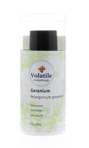 Volatile Geranium maroc