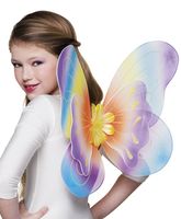Kleurrijke vleugel Iris 40x50cm