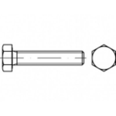 TOOLCRAFT TO-5368953 Zeskantbout M20 50 mm Buitenzeskant RVS A4 10 stuk(s)