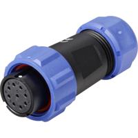 Weipu SP2110 / S 9 II Ronde connector Bus, recht Totaal aantal polen: 9 Serie (ronde connectoren): SP21 1 stuk(s)