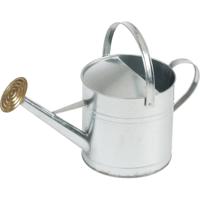 Ubbink Gieter - zilver - verzinkt staal - broeskop - 9 liter