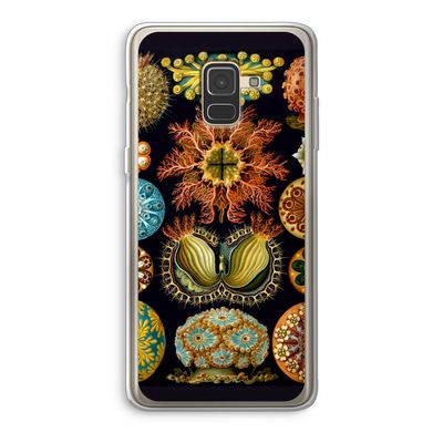 Haeckel Ascidiae: Samsung Galaxy A8 (2018) Transparant Hoesje