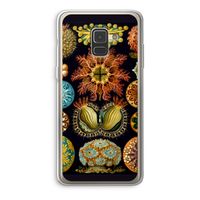 Haeckel Ascidiae: Samsung Galaxy A8 (2018) Transparant Hoesje Haeckel Ascidiae: Samsung Galaxy A8 (2018) Transparant Hoesje