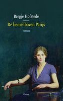 De hemel boven Parijs - Bregje Hofstede - ebook