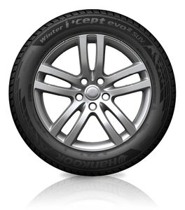 Hankook Winter i'cept evo2 SUV 255/50 R19 XL 48,3 cm (19") 25,5 cm