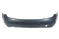 Bumper 5506003518955P