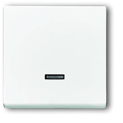 Busch-Jaeger 6543-84-101 Ingangsmodule Zonder opdruk Verkeerswit, Wit 1 stuk(s)