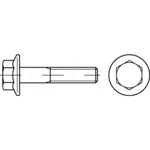 TOOLCRAFT TO-5391675 Zeskantbout M8 12 mm Buitenzeskant Staal Galvanisch verzinkt 200 stuk(s)