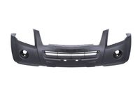 Bumper 5510003053901P