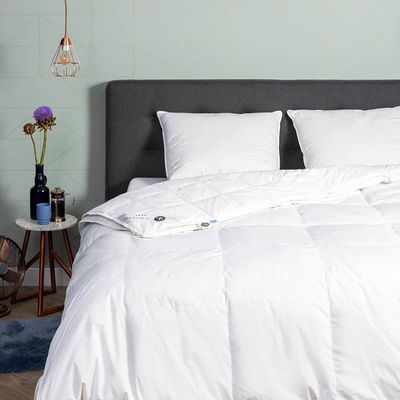 Dekbed Dons 85% eendenveren 4 Seizoenen - 4 seizoenen - 240x220 cm (Lits-Jumeaux) - Presence - 500 gr (200 gr + 300 gr) - Dekbed-Discounter.nl