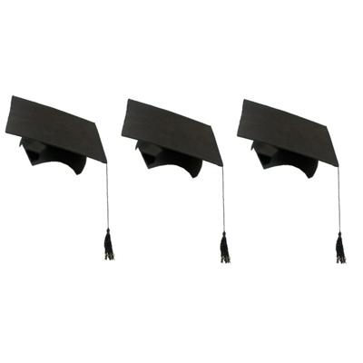 Afstudeerhoedje geslaagd met kwast - 4x - volwassenen - zwart - Examen diploma uitreiking