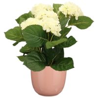 Hortensia kunstplant/kunstbloemen 36 cm - wit - in pot lichtroze glans