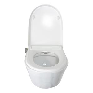 Terra wandcloset met Aqua toiletzitting met bidet functie wit glans