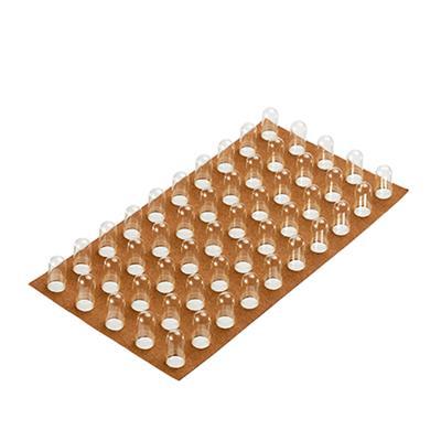 Spruyt Hillen Capsule op kaart nr. 3 50 stuks Feton/Loetschert