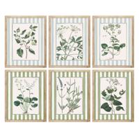 Schilderij Home ESPRIT Wit Groen Shabby Chic Botanische planten 30 x 2,5 x 40 cm (6 Stuks)