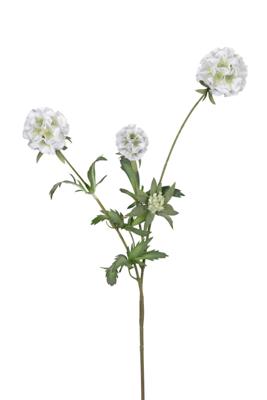 Scabiosa stellata l75cm wit kunstbloem Louis Maes - Louis maes