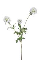 Scabiosa stellata l75cm wit kunstbloem Louis Maes - Louis maes