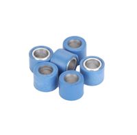 LeoVince Variateurrolset 15x12mm - 5,0gr