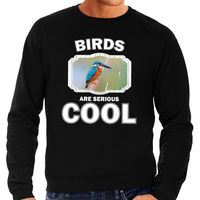 Dieren ijsvogel sweater zwart heren - birds are cool trui