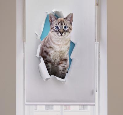 Rolgordijnen woonkamer met kat