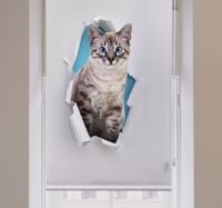 Rolgordijnen woonkamer met kat