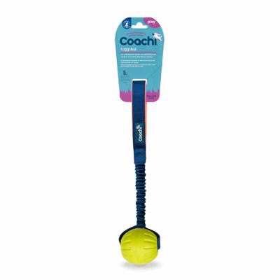 Training toy Coachi TUGGI BALL Blauw
