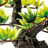 Sf deco bonsai xs - Superfish