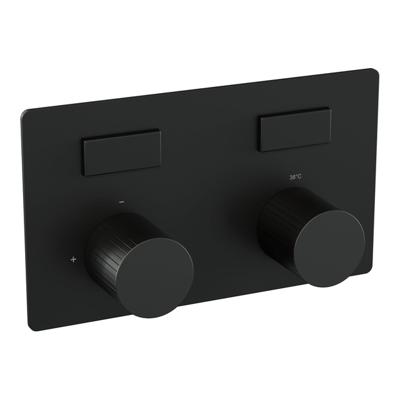 BRAUER Stripe 2-weg Inbouwthermostaat - drukknoppen - in- en afbouwdelen - mat zwart 5-S-355