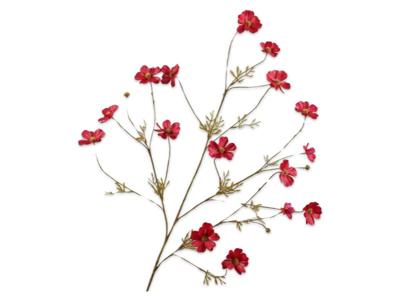 Cosmostak l104 cm rood - Silkka