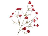 Cosmostak l104 cm rood - Silkka